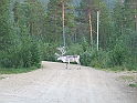 Obraz 222